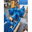 ปั๊มหอยโข่ง 10 นิ้ว End Suction pump