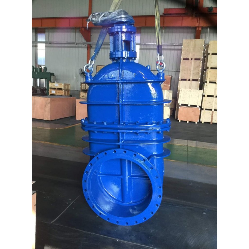 ประตูน้ำเหล็กหล่อลิ้นยก Gate Valve