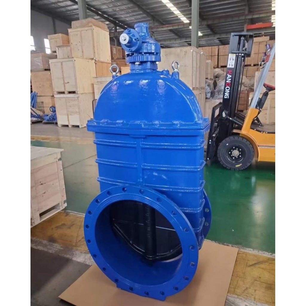 ประตูน้ำเหล็กหล่อลิ้นยก Gate Valve